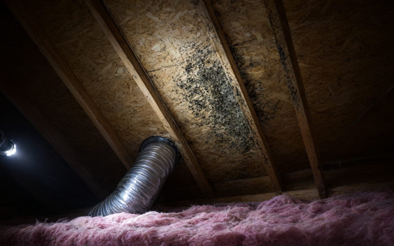 Dark mold on attic roof sheathing next to a bathroom fan duct, pink insulation below